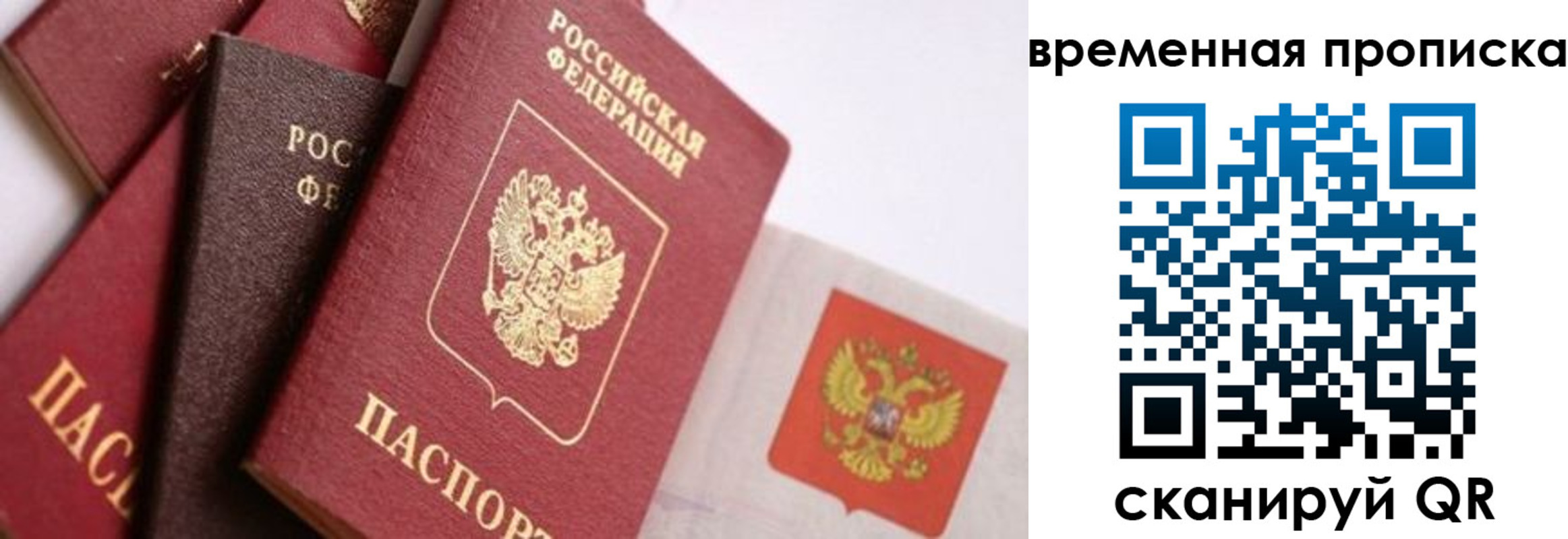 временная регистрация для всех в Щиграх