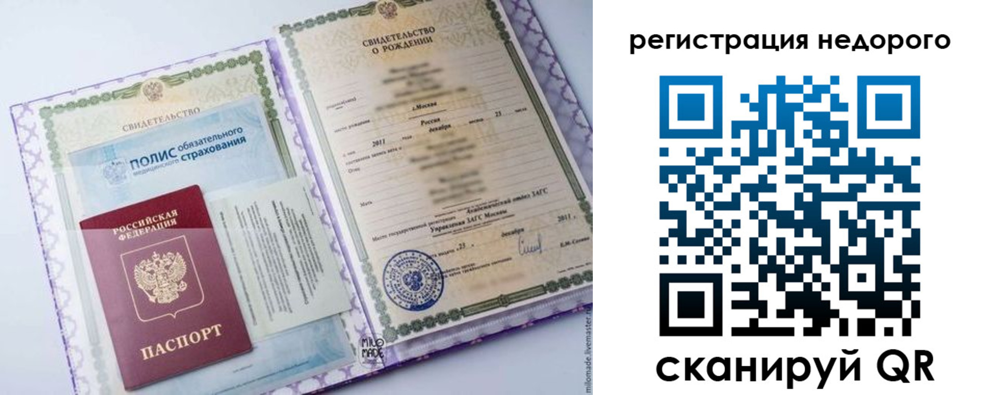 прописка паспорт в Щиграх